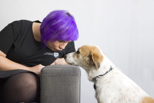 אילונה, אילוף ורפואה משלימה לכלבים שובבים בגישה חיובית, צילום אסנת פרלשטיין, Dinga pet pix