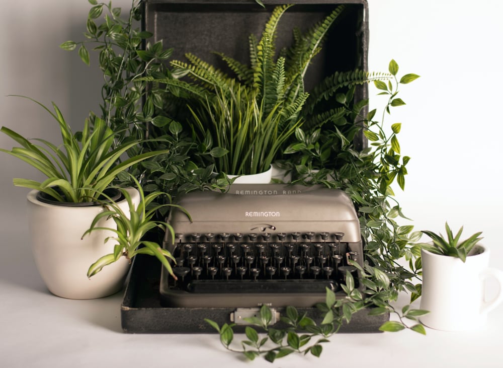 typewriter and greenery - טיפים לפייסבוק - ברושקה - עצמאית ומאושרת - מכונת כתיבה - צמחים